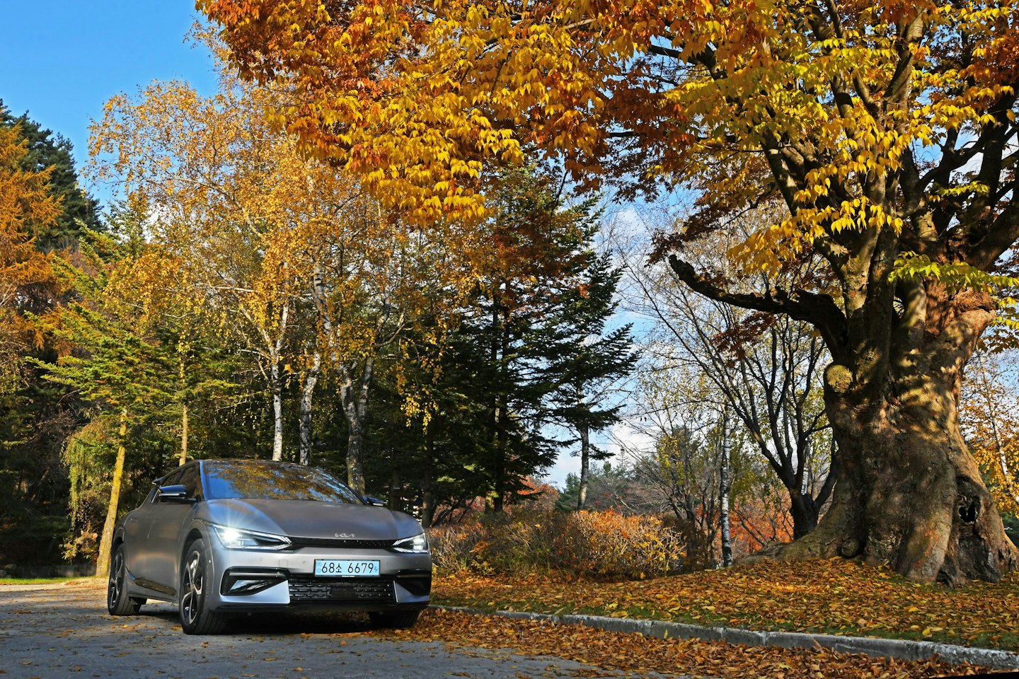 Grey electric car parked on autumn park road with yellow leaves.